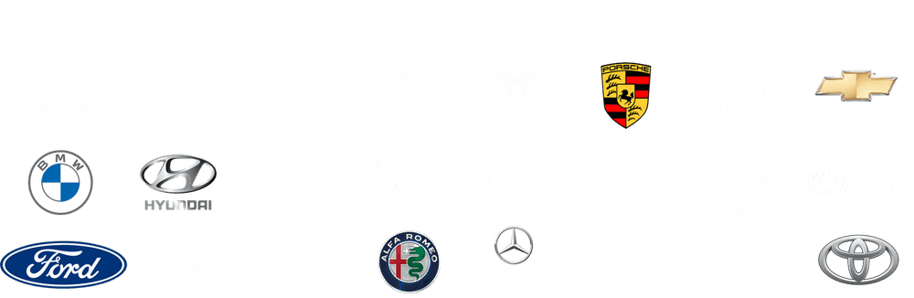 Marcas de coches con las que trabaja Neumacar Motors: Porsche, BMW, Mercedes-Benz, Audi, Cupra, Seat, Ford, Toyota, Renault, Peugeot, Hyundai y más